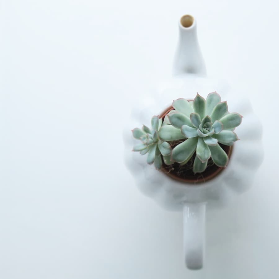 Matte Stoneware Planter